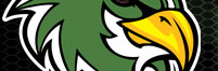 Falcon